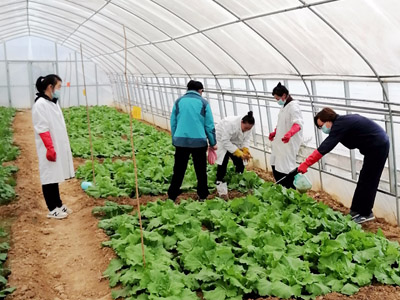 氨基酸系列肥料試驗(yàn)