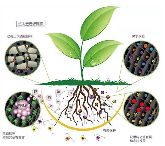 科學(xué)施用生物菌肥好處多多！