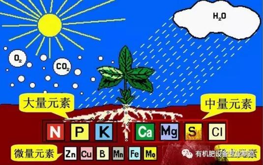 有機肥發(fā)酵_禽糞發(fā)酵不徹底的危害_家畜農(nóng)家肥