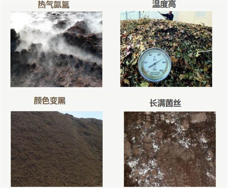 有機(jī)堆肥的發(fā)酵過程可分為哪4個階段