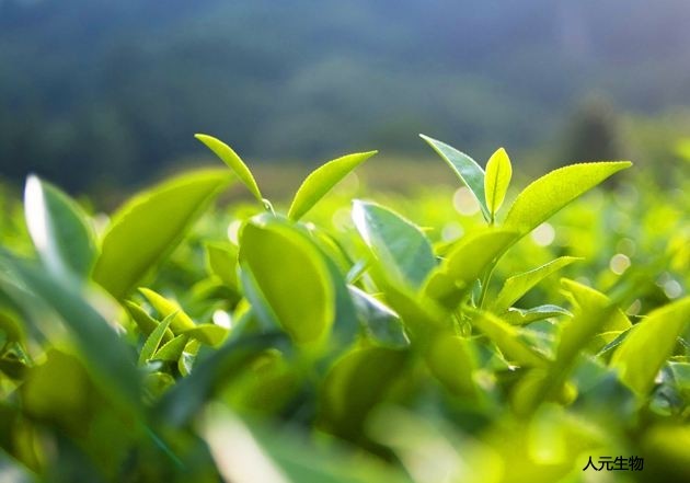 微生物菌劑為什么價格這么高還受到大家喜歡？