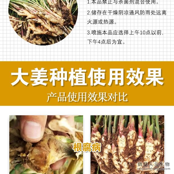 多氨豆粕菌肥系列大姜專用肥使用注意事項