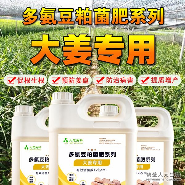 多氨豆粕菌肥系列大姜專用肥由河南省微生物菌劑工程技術(shù)研究中心研制，鶴壁市人元生物技術(shù)發(fā)展有限公司生產(chǎn)，本品是以固態(tài)發(fā)酵豆粕為主要原料，豆粕經(jīng)過有益微生物菌種發(fā)酵分解，充分釋放游離氨基酸，同時輔以枯草、地衣、膠凍樣芽孢桿菌等有益菌群。