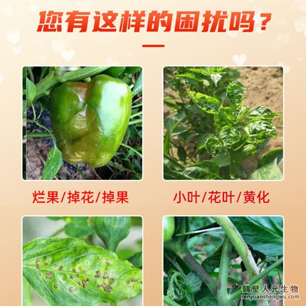 多氨豆粕菌肥系列辣椒專用肥適用范圍：適用于櫻桃椒、朝天椒、燈籠椒、羊角椒、線椒、彩椒、甜柿椒、牛角椒等辣椒類品種。