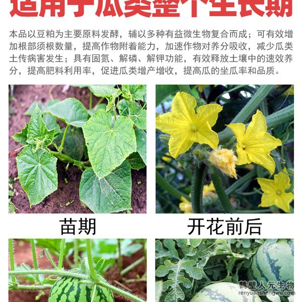 多氨豆粕菌肥系列瓜類專用肥適用范圍：適用于西瓜、甜瓜、哈密瓜等瓜類作物。