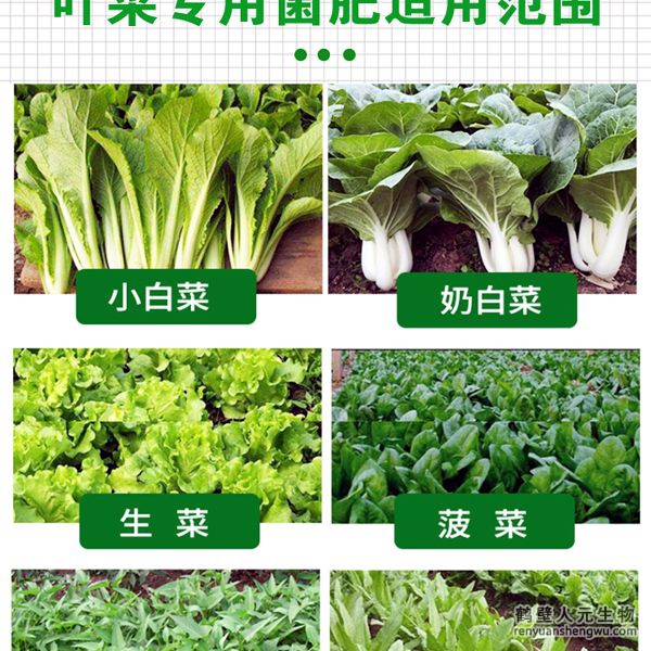 多氨豆粕菌肥系列葉菜類專用肥適用范圍：適用于生菜、雍菜、油菜、茼蒿、芹菜、菠菜、木耳菜、油麥菜、韭菜、娃娃菜、空心菜、菜心、莧菜等葉菜類作物。