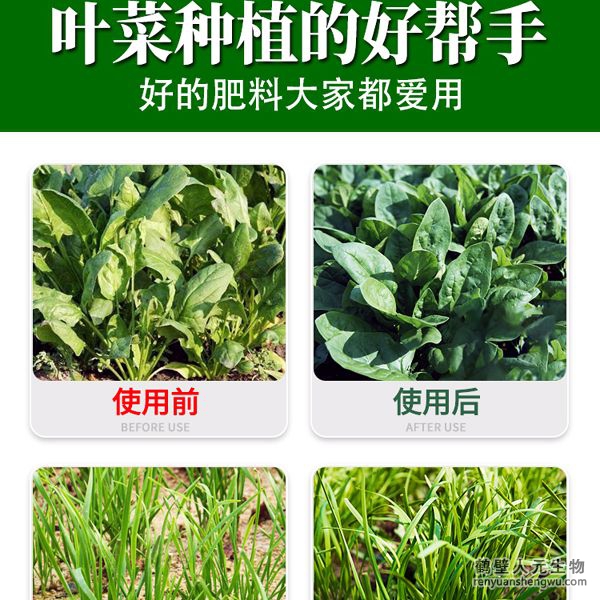 多氨豆粕菌肥系列葉菜類專用肥使用效果圖1