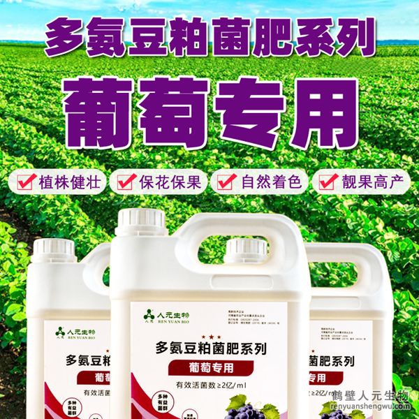 多氨豆粕菌肥系列葡萄專用肥由河南省微生物菌劑工程技術(shù)研究中心研制，鶴壁市人元生物技術(shù)發(fā)展有限公司生產(chǎn)，本品是以固態(tài)發(fā)酵豆粕為主要原料，豆粕經(jīng)過有益微生物菌種發(fā)酵分解，充分釋放游離氨基酸，同時(shí)輔以枯草、地衣、膠凍樣芽孢桿菌等有益菌群。